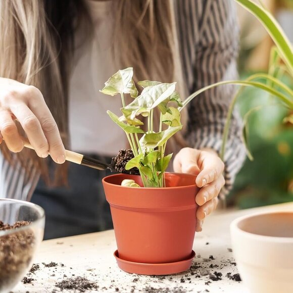 Pots for Plants, 15 Pack 6 Inch Plastic Planters with Multiple Drainage Holes an - Picture 2 of 7